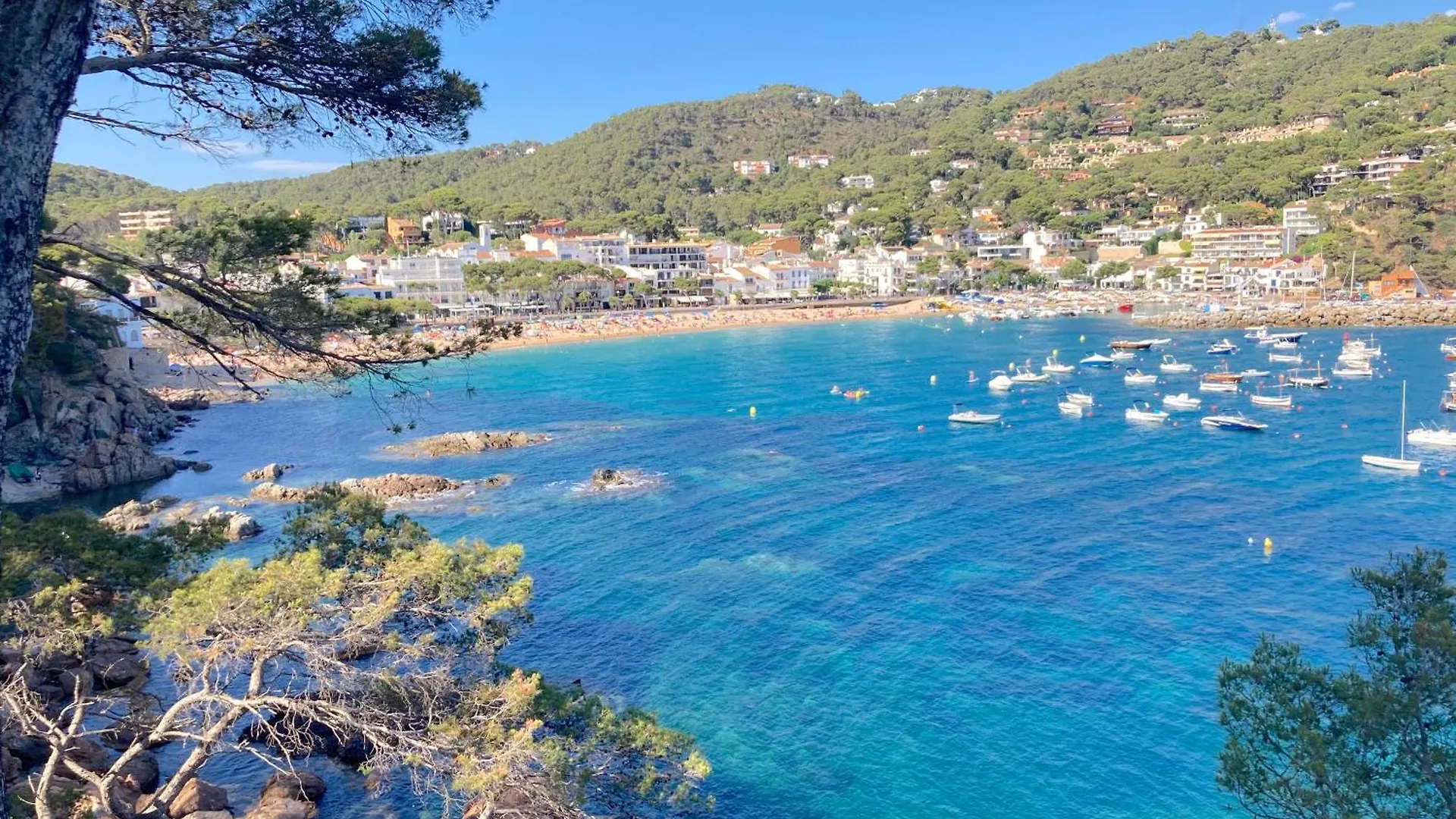 Apartment Villa Care 1 - Llafranc